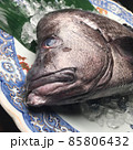 「マツカワ」と呼ばれていたが天然魚の地方名は難解で正式な名称が不明 85806432