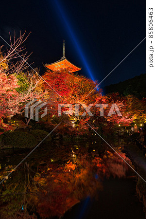 清水寺 夜の特別拝観 2021年秋 清水寺 夜の特別拝観 2021年秋 85806463