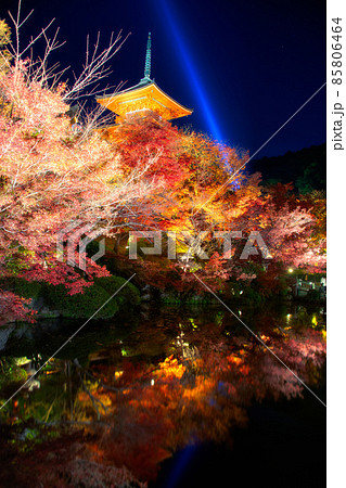 清水寺　夜の特別拝観　2021年秋 85806464