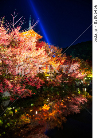 清水寺 夜の特別拝観 2021年秋 清水寺 夜の特別拝観 2021年秋 85806466