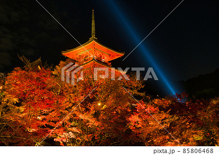 清水寺 夜の特別拝観 2021年秋 清水寺 夜の特別拝観 2021年秋 85806468