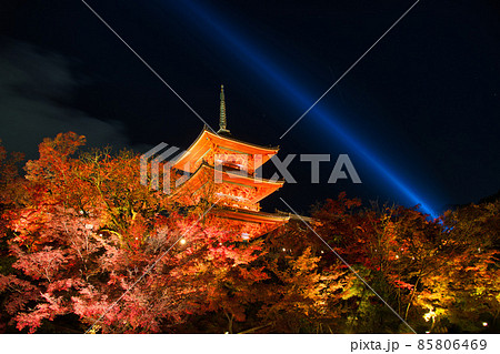 清水寺　夜の特別拝観　2021年秋 85806469