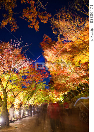 清水寺 夜の特別拝観 2021年秋 清水寺 夜の特別拝観 2021年秋 85806471