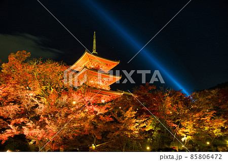 清水寺　夜の特別拝観　2021年秋 85806472