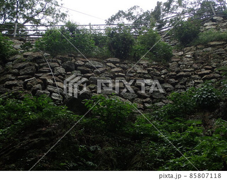 岐阜県岐阜市金華山にあり、織田信長が岐阜と改名したことから稲葉山城から改名された岐阜城 85807118