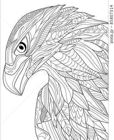 Eagle Head Line Drawing With Geometric Detailed Coloring Book idea 85807314