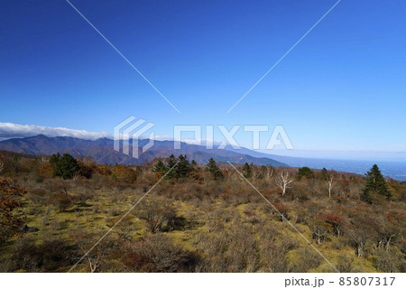 八方ヶ原　栃木県 85807317