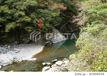 秋の清流那賀川 秋の清流那賀川 85808098