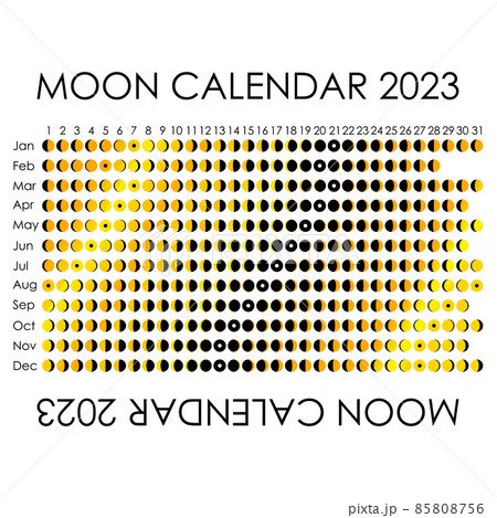 2023 Moon calendar. Astrological calendar design. planner. Place for stickers. Month cycle planner mockup. Isolated black and white background 85808756