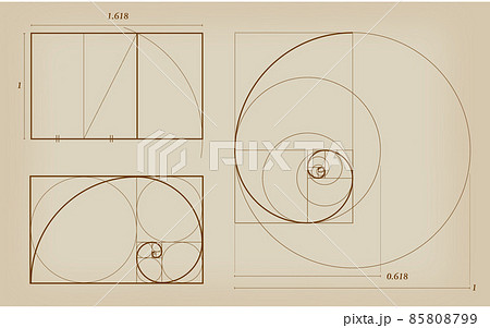 GOLDEN RATIO　黄金比図形 85808799