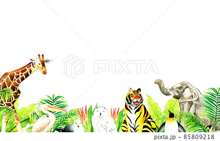 動物園の生き物と植物の背景 手描き水彩イラスト素材のイラスト素材