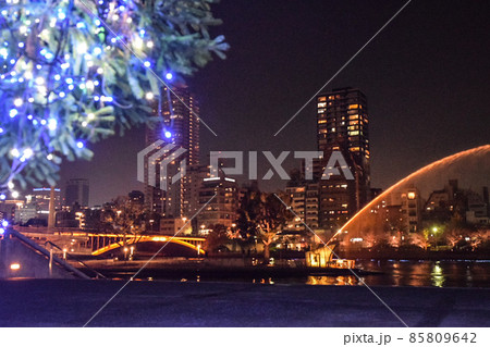 【大阪】クリスマスツリー越しのビル夜景 85809642