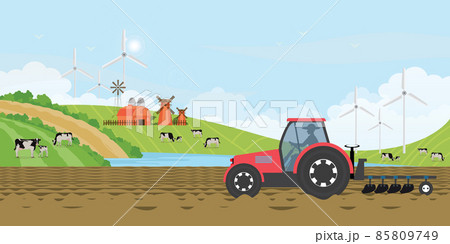 Farmer driving a tractor in farm land on rural farm, holstein cow and calves in a field. 85809749