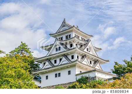 岐阜県郡上市八幡町　晴天の郡上八幡城 85809834