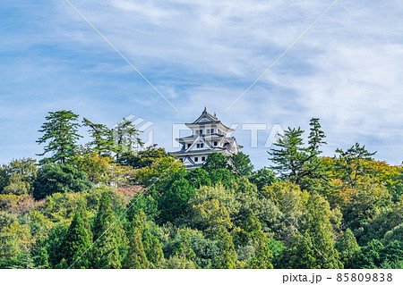 岐阜県郡上市八幡町　晴天の郡上八幡城 85809838
