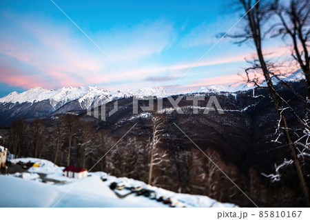 Snow-capped mountain ranges in the morning, covered with coniferous forests 85810167