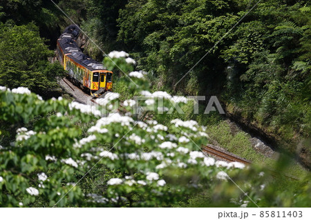 台湾 新北市 電車 85811403
