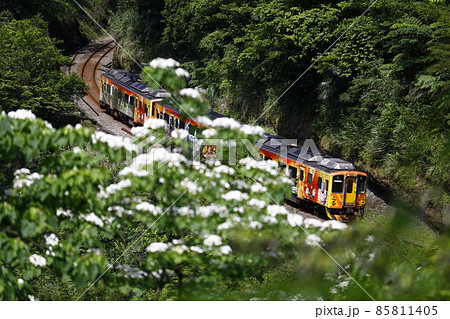 台湾 新北市 電車 85811405