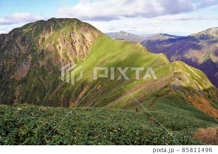茂倉岳から武能岳への稜線を歩く登山者 85811496