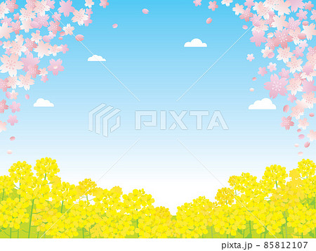 春の桜と菜の花の風景イラスト 春の桜と菜の花の風景イラスト 85812107