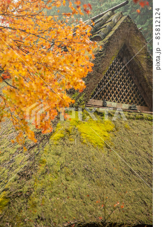嵯峨鳥居本伝統的建造物群保存地区の美しい紅葉風景 85812124
