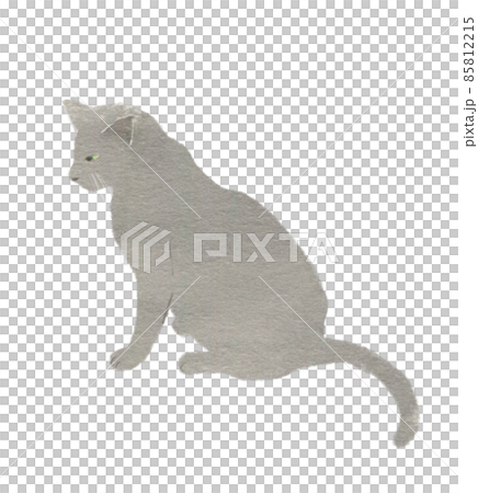 グレーの猫　横向き 85812215