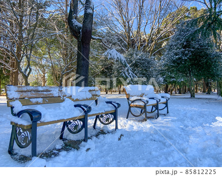 雪景色になった代々木公園(2022年1月7日) 雪景色になった代々木公園(2022年1月7日) 85812225