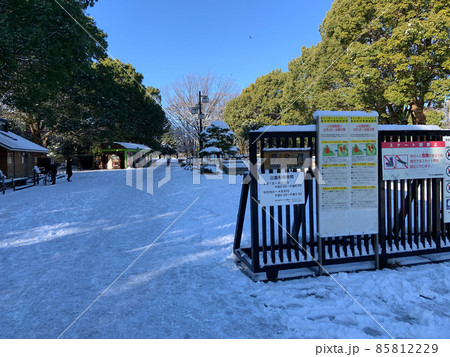 雪景色になった代々木公園（2022年1月7日） 85812229