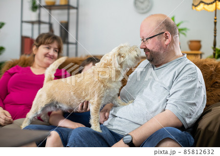 A dog sniffs its master's nose and face. A shaggy multi-racial dog. 85812632