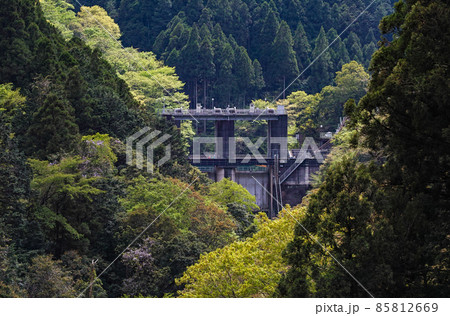 東京都/ 新緑の白丸調整池（白丸ダム） 85812669