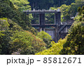 東京都/ 新緑の白丸調整池（白丸ダム） 85812671