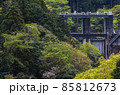 東京都/ 新緑の白丸調整池（白丸ダム） 85812673