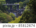 東京都/ 新緑の白丸調整池（白丸ダム） 85812674