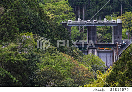 東京都/ 新緑の白丸調整池（白丸ダム） 85812676