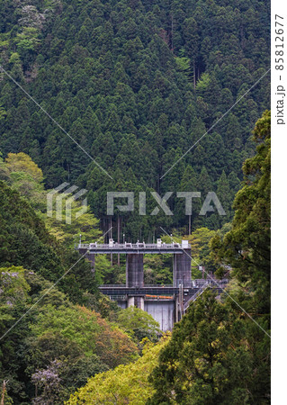 東京都/ 新緑の白丸調整池（白丸ダム） 85812677