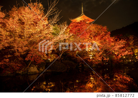 清水寺の美しい紅葉ライトアップ 清水寺の美しい紅葉ライトアップ 85812772