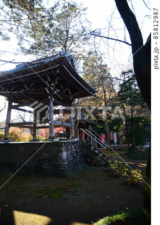 晩秋の千葉県清水公園（金乗院）の自然 85812987