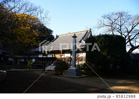 晩秋の千葉県清水公園（金乗院）の自然 85812988