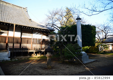 晩秋の千葉県清水公園（金乗院）の自然 85812994