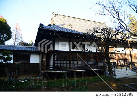 晩秋の千葉県清水公園（金乗院）の自然 85812999
