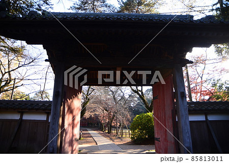 晩秋の千葉県清水公園（金乗院）の自然 85813011