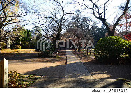 晩秋の千葉県清水公園（金乗院）の自然 85813012
