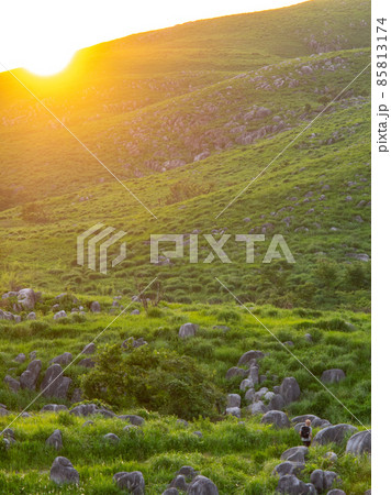 夏の北九州平尾台散策登山 85813174