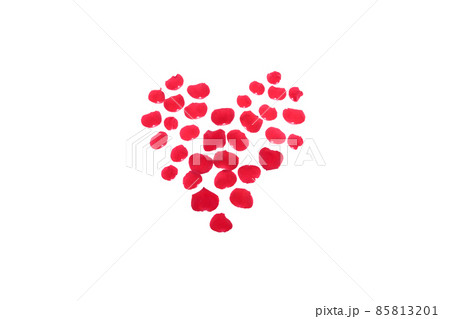 薔薇 赤 赤薔薇 花 フラワー 赤い薔薇 赤い花 薔薇 赤 赤薔薇 花 フラワー 赤い薔薇 赤い花 85813201