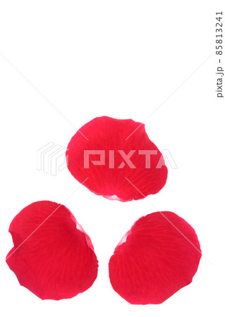 薔薇 赤 赤薔薇 花 フラワー 赤い薔薇 赤い花 薔薇 赤 赤薔薇 花 フラワー 赤い薔薇 赤い花 85813241