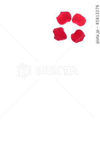 薔薇 赤 赤薔薇 花 フラワー 赤い薔薇 赤い花 薔薇 赤 赤薔薇 花 フラワー 赤い薔薇 赤い花 85813276