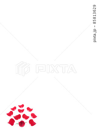 薔薇　赤　赤薔薇　花　フラワー　赤い薔薇　赤い花 85813629