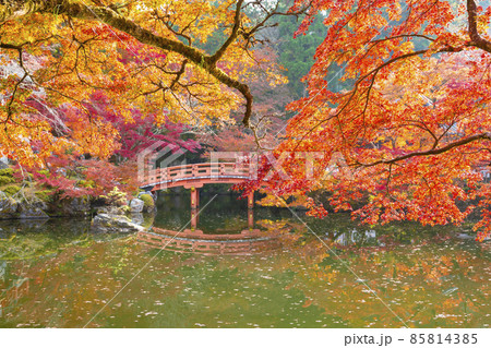秋の醍醐寺 85814385