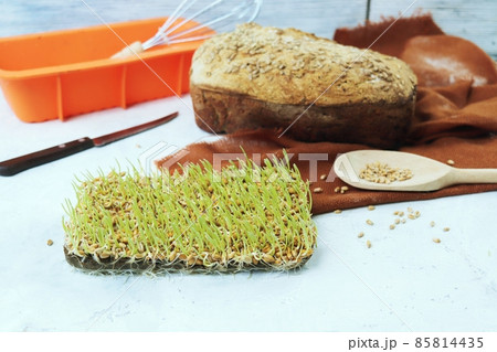 Freshly baked yeast-free homemade bread, container with sprouted wheat grains, on a linen napkin, on the table, healthy, organic food concept Freshly baked yeast-free homemade bread, container with sprouted wheat grains, on a linen napkin, on the table, healthy, organic food concept 85814435
