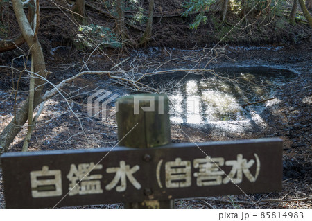 湯河原 頼朝伝説の自鑑水 湯河原 頼朝伝説の自鑑水 85814983